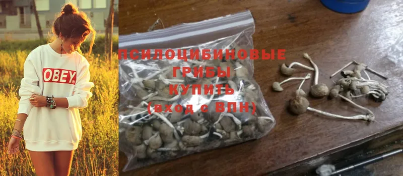 Псилоцибиновые грибы MAGIC MUSHROOMS  цена наркотик  Лениногорск 